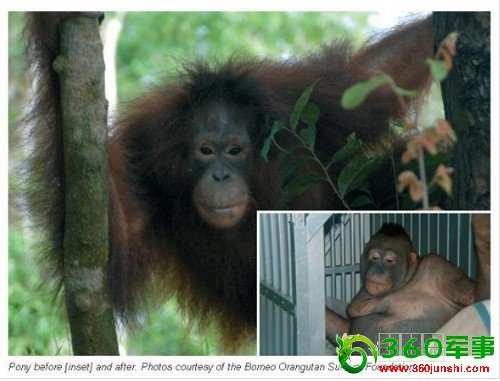 ӡ�������������� ȱ�������ݲ������Ʋ�(ͼ)